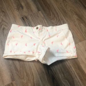 Flamingo shorts